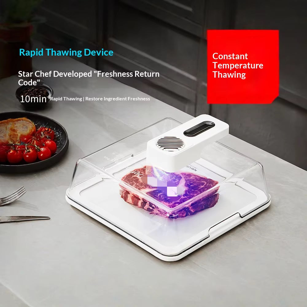Rapid Electric Meat Defrosting Box