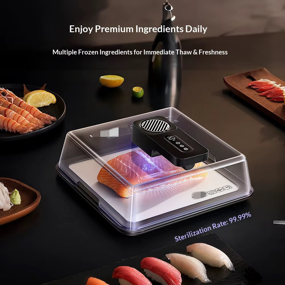 Rapid Electric Meat Defrosting Box