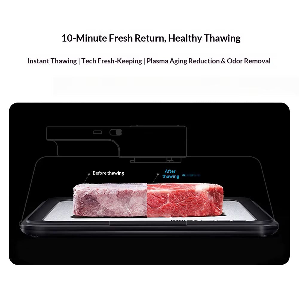 Rapid Electric Meat Defrosting Box